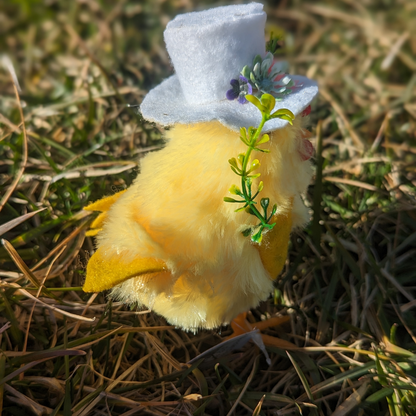 Easter Sunday Chick - White Hat
