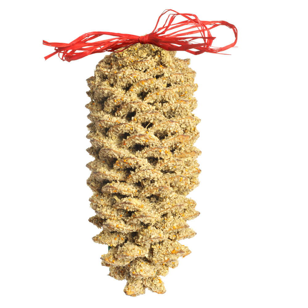 GIANT PINECONE