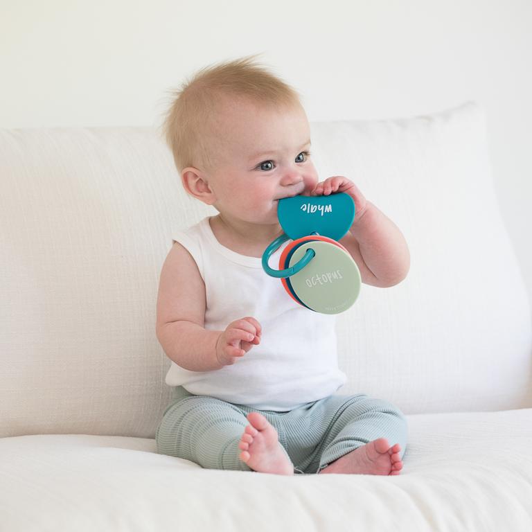 UNDER THE SEA TEETHER FLASHCARDS