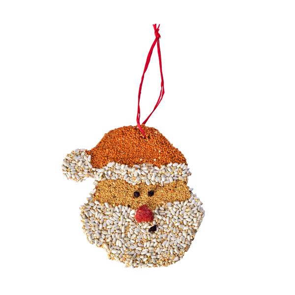 CHRISTMAS COOKIE | SANTA