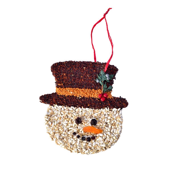 CHRISTMAS COOKIE | SNOWMAN
