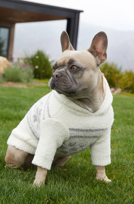 CC ALPINE PET HOODIE