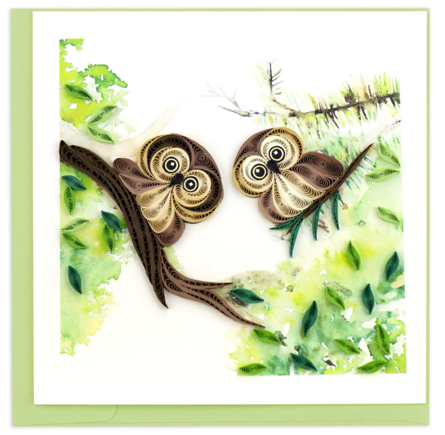Quilled Owlets Greeting Card