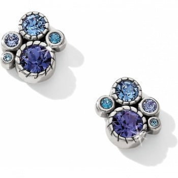 Halo Post Earrings Width: 1/2" Type: Post with flat disc back Material: Swarovski crystal Finish: Silver plated. Shop at The Painted Cottage in Edgewater, MD.