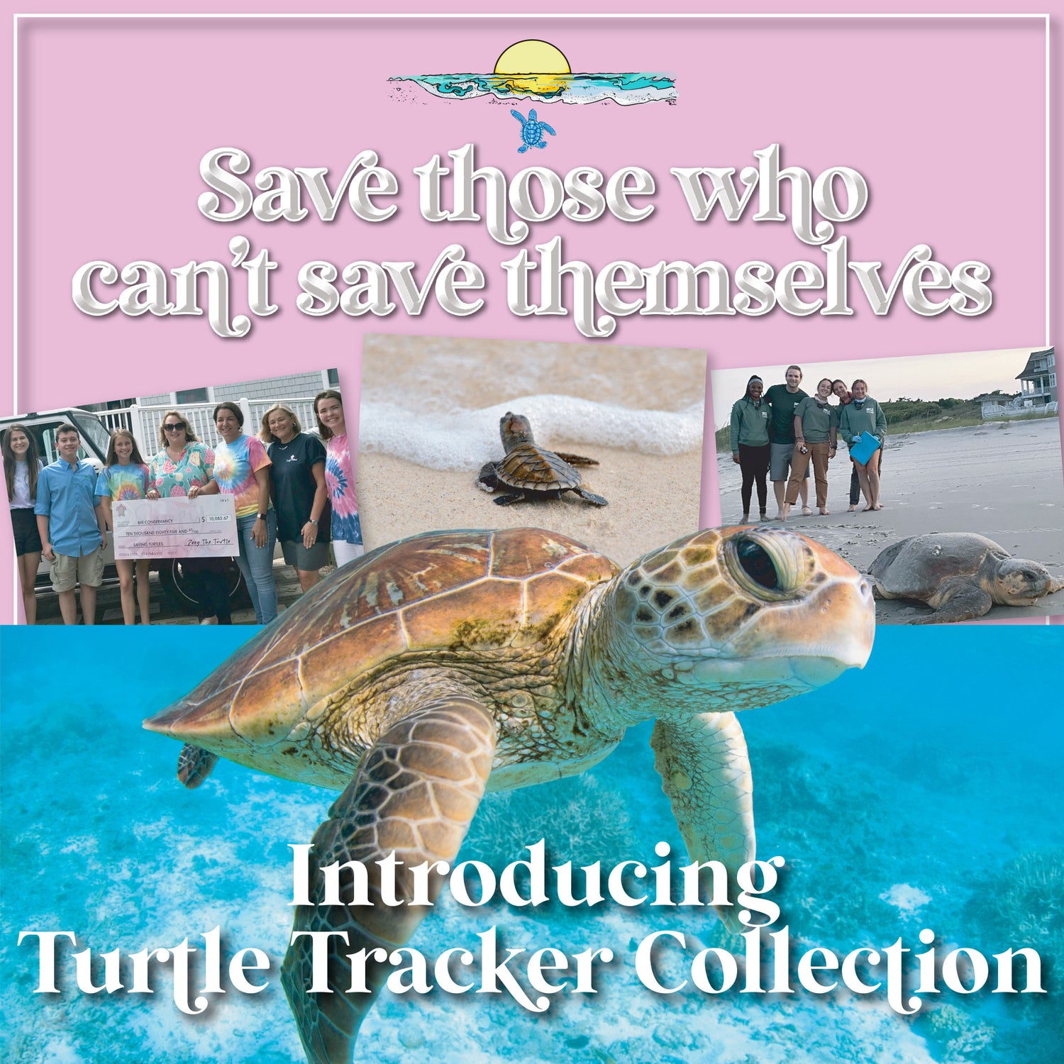 SS Turtle Tracker Collection