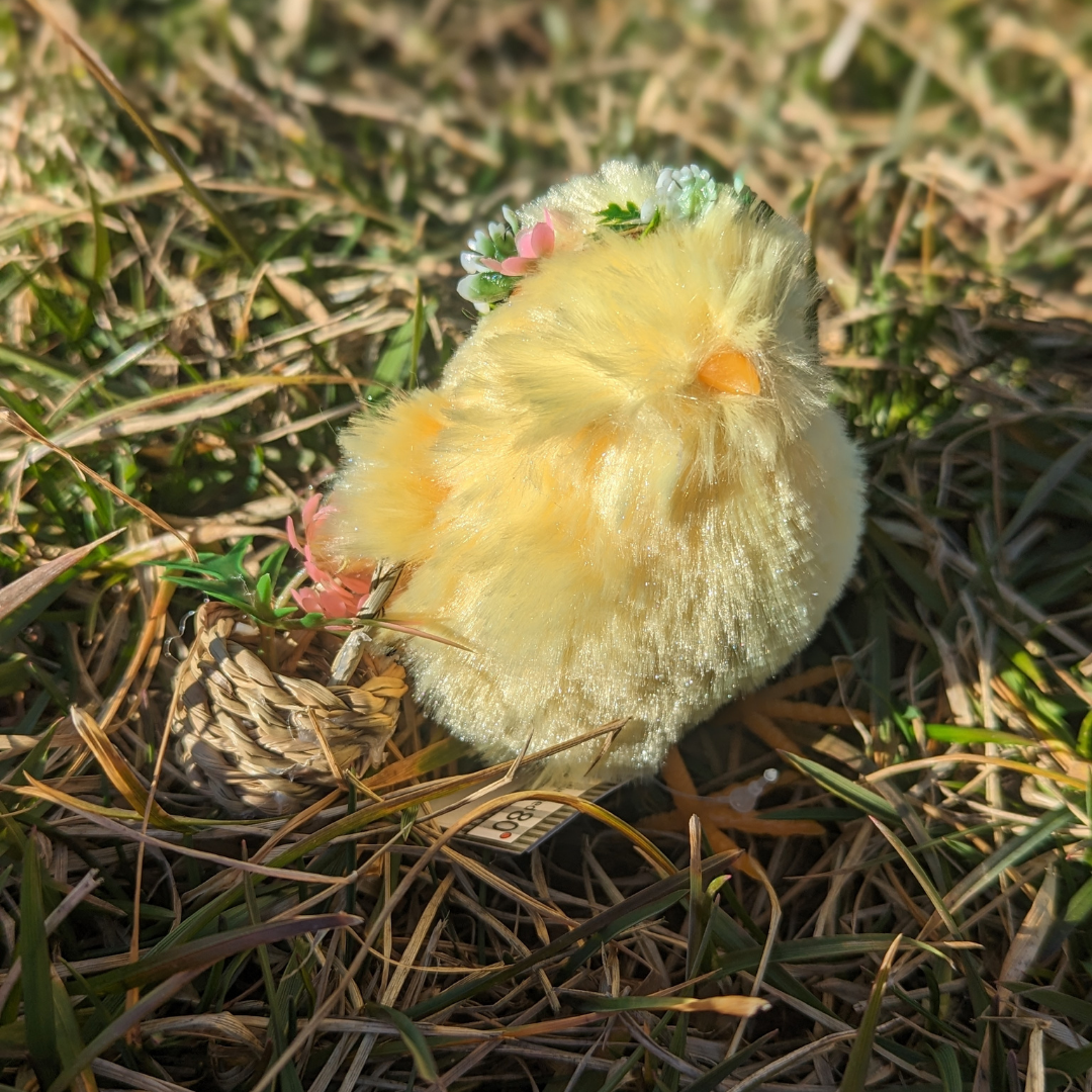 Easter Sunday Chick - Flower Crown