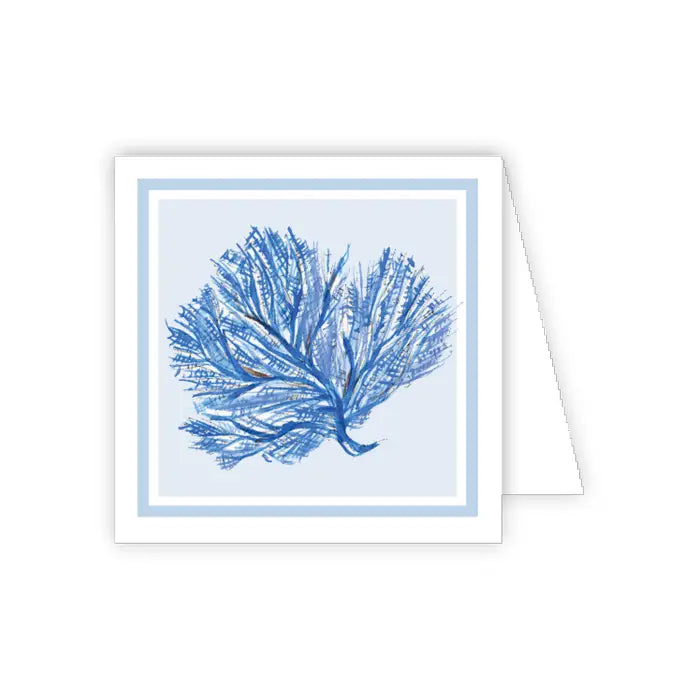 ENCLOSURE CARD | Blue Coral