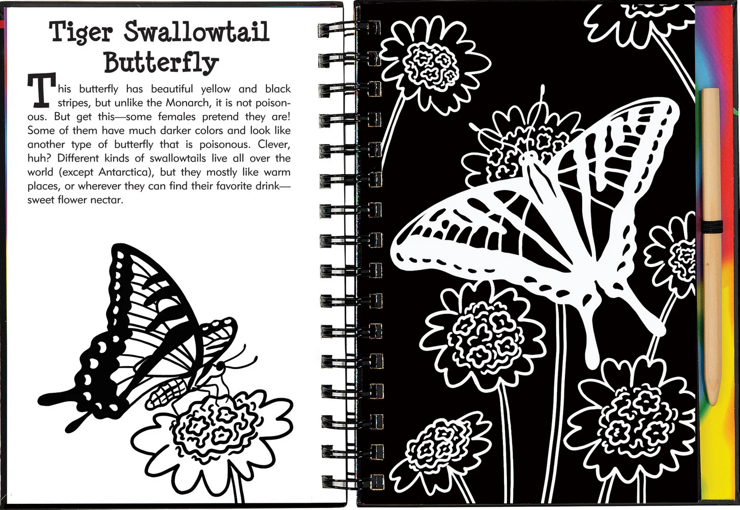 Butterflies and Friends Scratch and Sketch Peter Pauper Press Baby 9781441332547.PT03_1800x1800_ae7056cc-0142-4931-91fd-211d4f171963