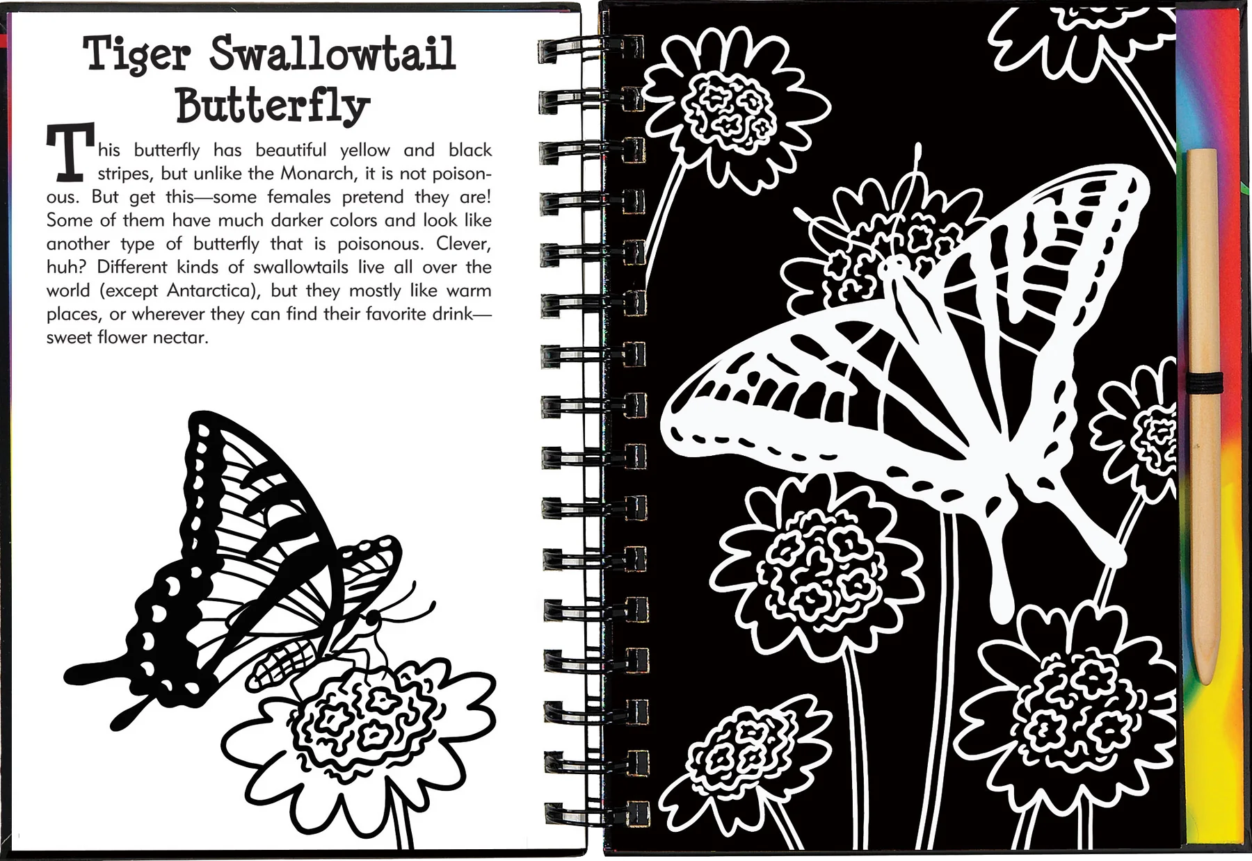 Butterflies and Friends Scratch and Sketch Peter Pauper Press Baby 9781441332547.PT03_1800x1800_ae7056cc-0142-4931-91fd-211d4f171963