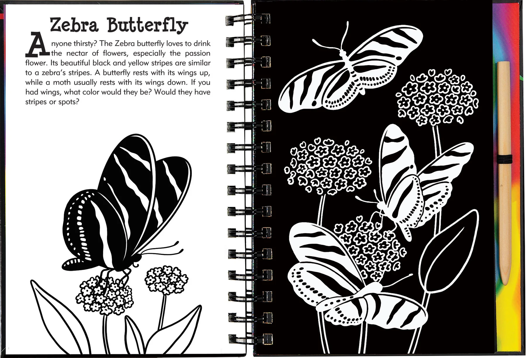 Butterflies and Friends Scratch and Sketch Peter Pauper Press Baby 9781441332547.PT04_1800x1800_91b18515-d9b7-4bb2-97bf-a8d6167554a4