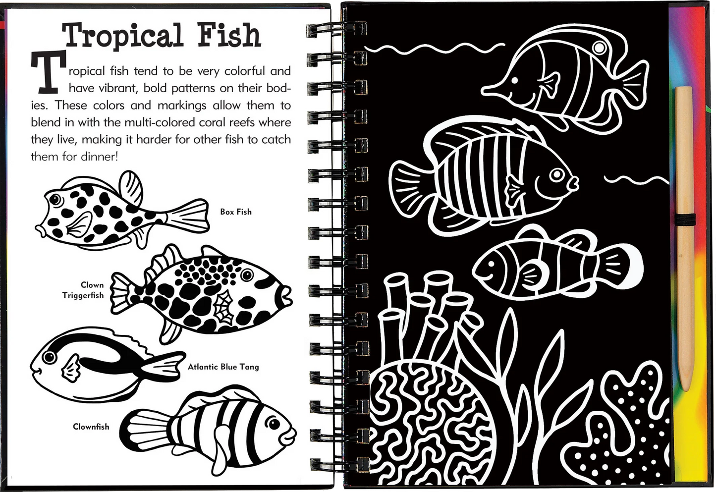 Under the Sea Scratch and Sketch Peter Pauper Press Baby 9781441332608.PT04_1800x1800_5d268290-3059-428b-8dfc-c096f10973f8