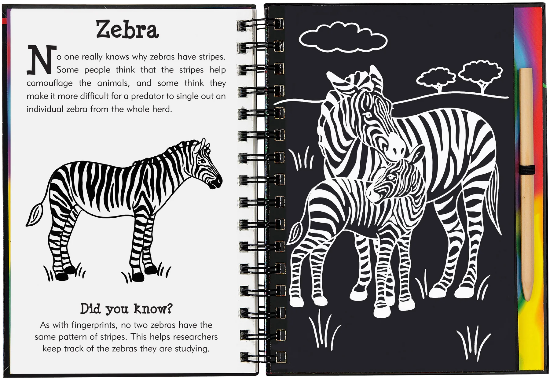 Wild Safari Scratch and Sketch Peter Pauper Press Baby 9781441333582.PT05_1800x1800_e4963901-f1b2-4d5a-b2f6-bd2c1b133ef2