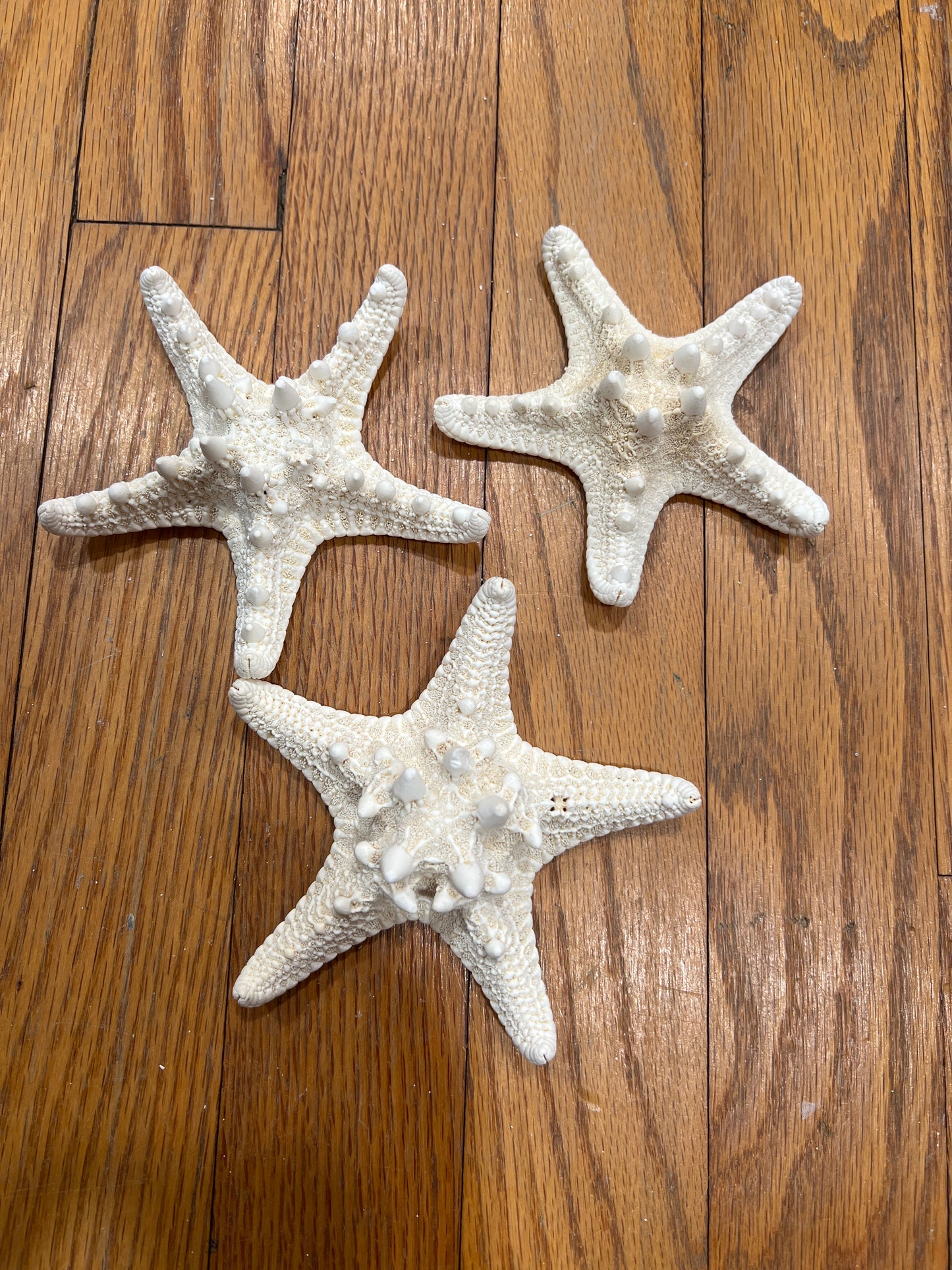 Mud Bleached Starfish WS Stetson Home BF4C386A-1E1D-4054-8885-6DCD6EF06187