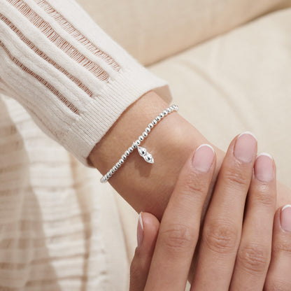 A Little 'Two Peas In A Pod' Bracelet Katie Loxton Jewelry alc7397_10_1