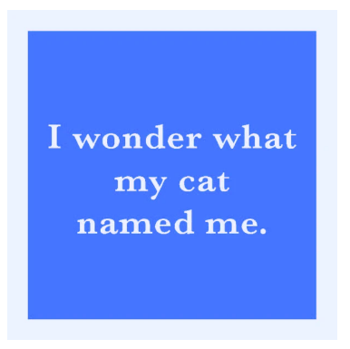 CAT NAMED ME COASTER