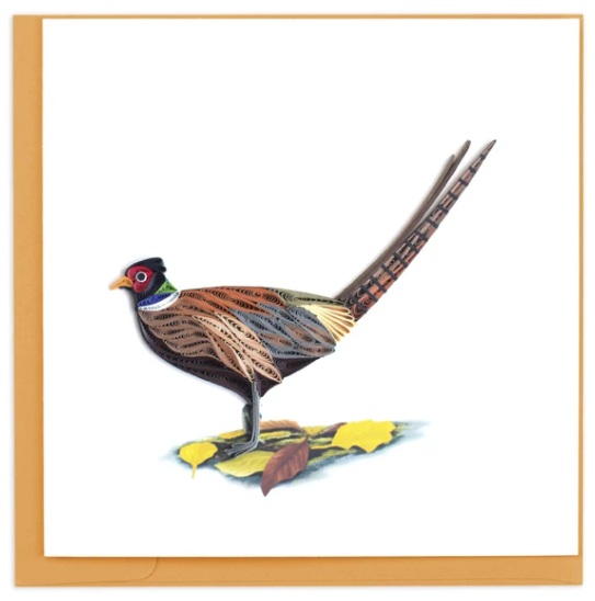 Ring-necked Pheasant Quill Card
