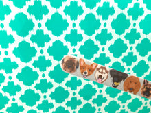 All The Dogs Nail File